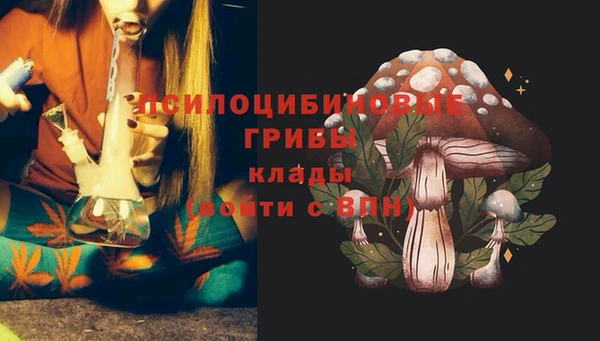 ГАЛЛЮЦИНОГЕННЫЕ ГРИБЫ Алексеевка