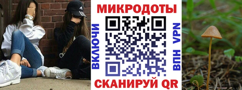 Галлюциногенные грибы Magic Shrooms  сколько стоит  Камышлов 